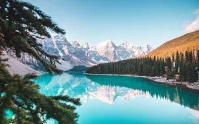 Can I Fire My Web Designer and Only Use AI?